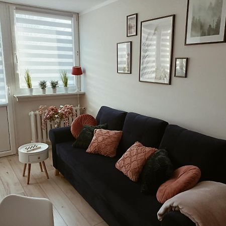 Apartament W Polanicy Lejlighed Polanica-Zdrój Eksteriør billede